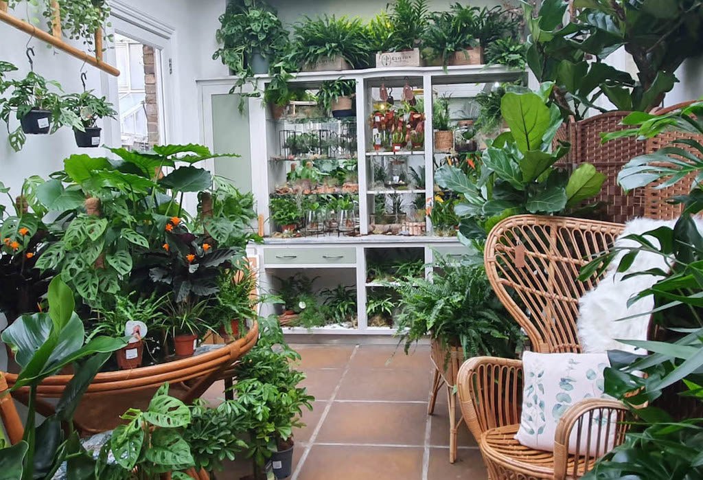 Best Houseplant Display Ideas for Fresh Interiors