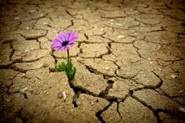 Simple Rituals That Build Resilience In An Unpredictable World